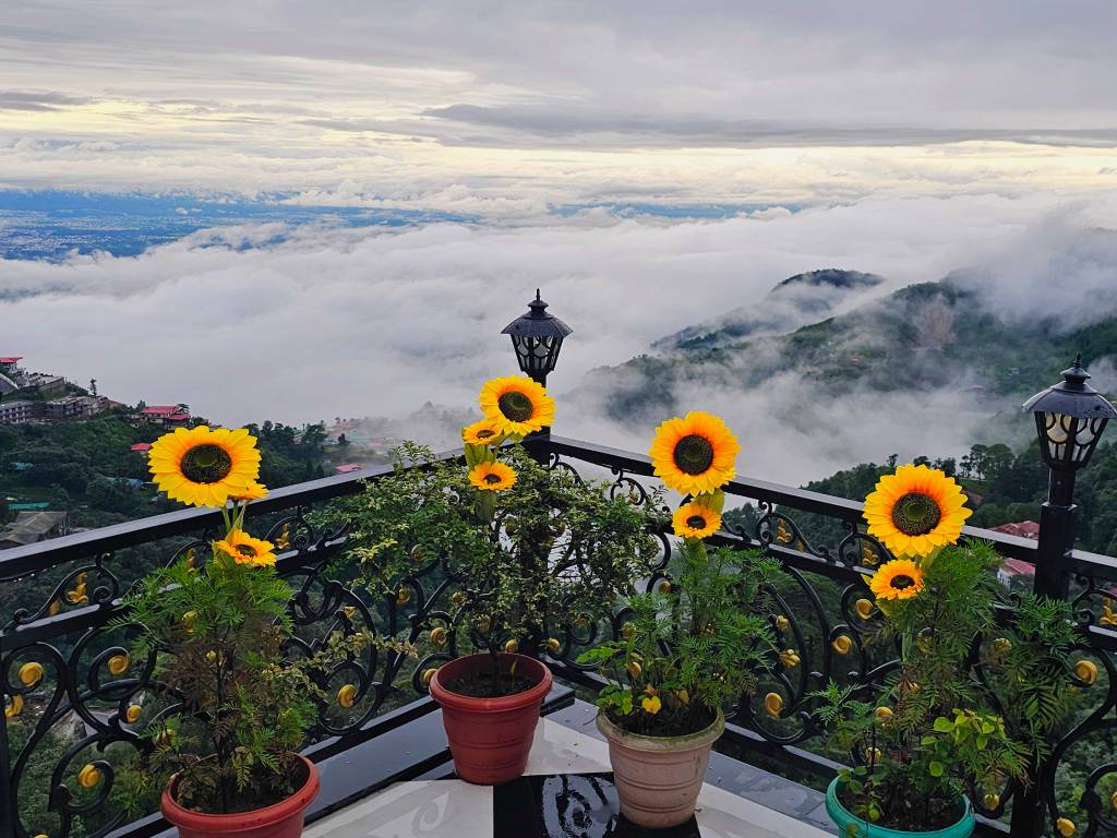 best luxury homestay in mussoorie